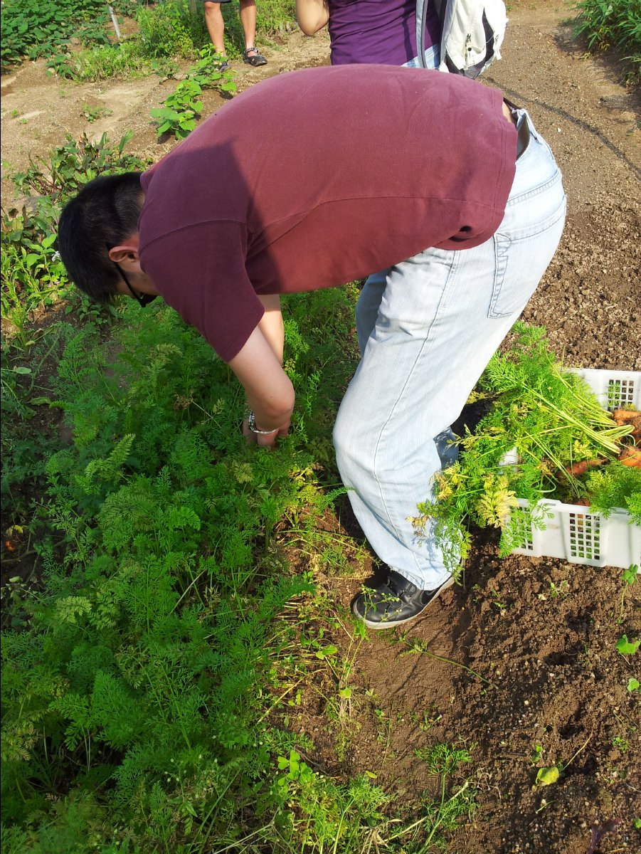 20120422Organic Farm31